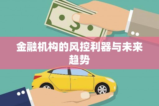 雾台金融机构的风控利器与未来趋势