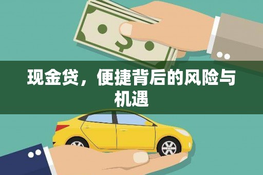 雾台现金贷，便捷背后的风险与机遇