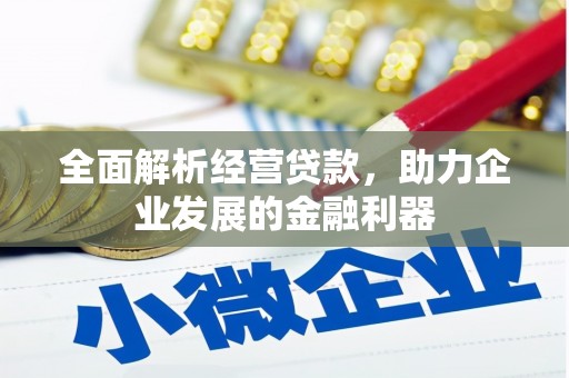 雾台全面解析经营贷款，助力企业发展的金融利器
