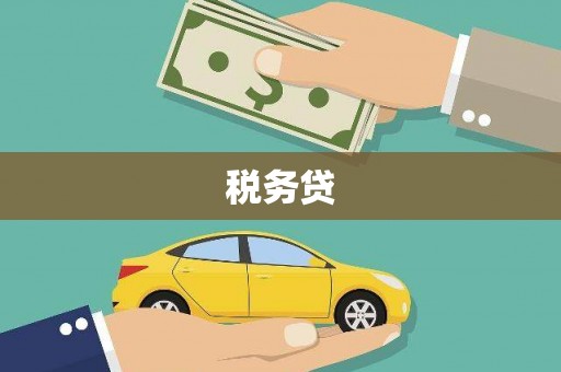 雾台税务贷