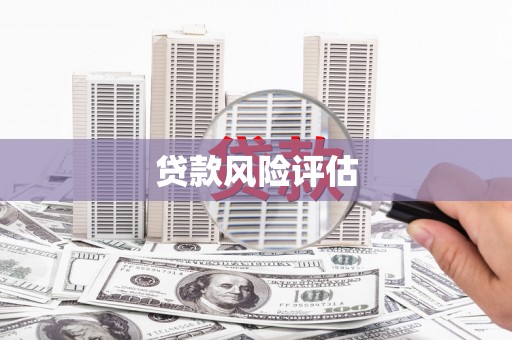 雾台贷款风险评估