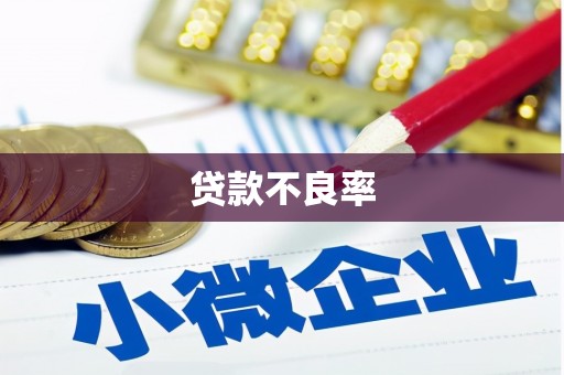 雾台贷款不良率