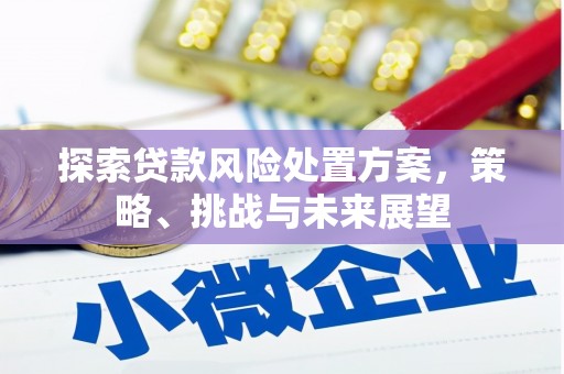 雾台探索贷款风险处置方案，策略、挑战与未来展望