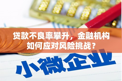 雾台贷款不良率攀升，金融机构如何应对风险挑战？