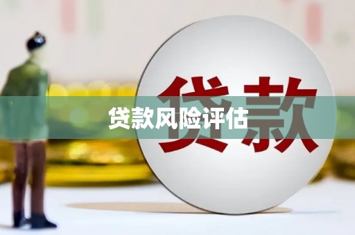 雾台贷款风险评估
