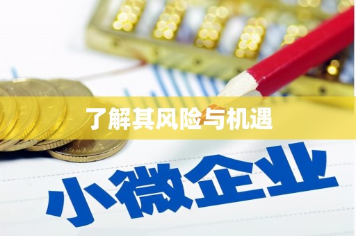 雾台了解其风险与机遇