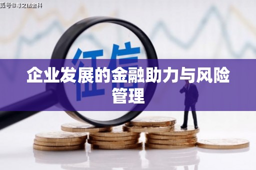 雾台企业发展的金融助力与风险管理