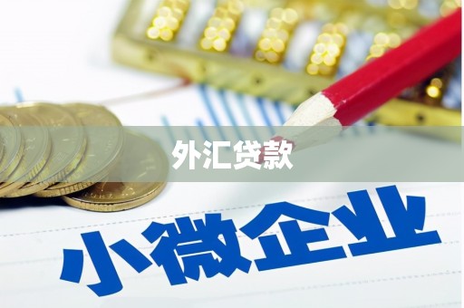 雾台外汇贷款