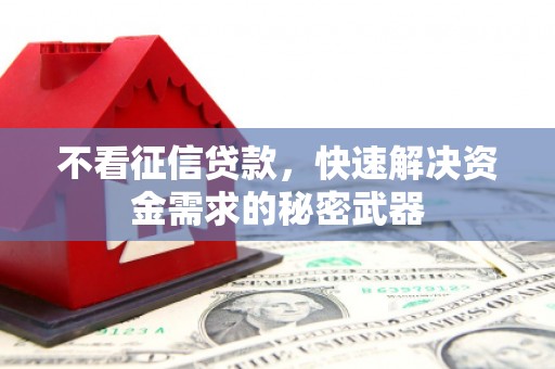 雾台不看征信贷款，快速解决资金需求的秘密武器