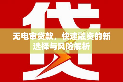 雾台无电审贷款，快速融资的新选择与风险解析