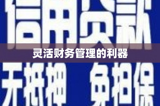 雾台灵活财务管理的利器