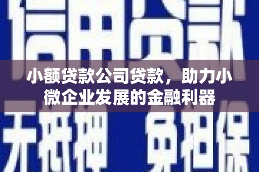雾台小额贷款公司贷款，助力小微企业发展的金融利器
