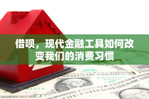 雾台借呗，现代金融工具如何改变我们的消费习惯