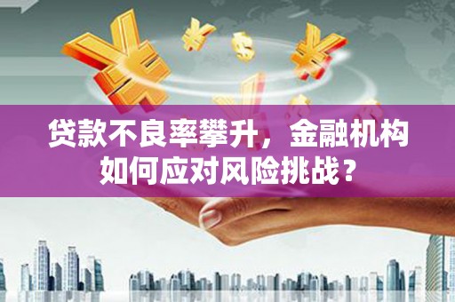 雾台贷款不良率攀升，金融机构如何应对风险挑战？
