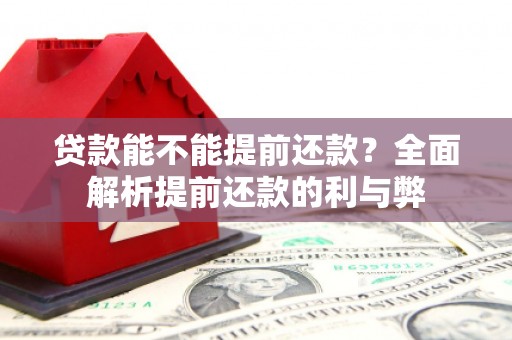 雾台贷款能不能提前还款？全面解析提前还款的利与弊