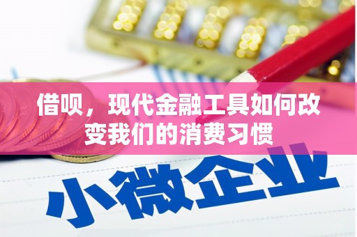 雾台借呗，现代金融工具如何改变我们的消费习惯