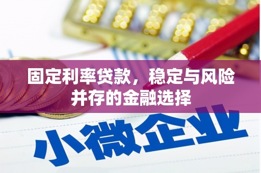 雾台固定利率贷款，稳定与风险并存的金融选择