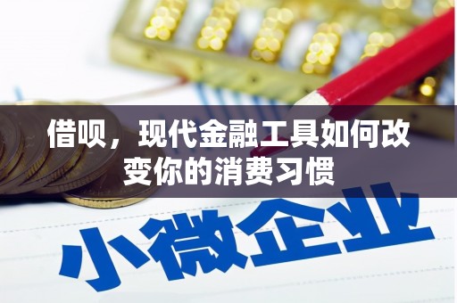 雾台借呗，现代金融工具如何改变你的消费习惯