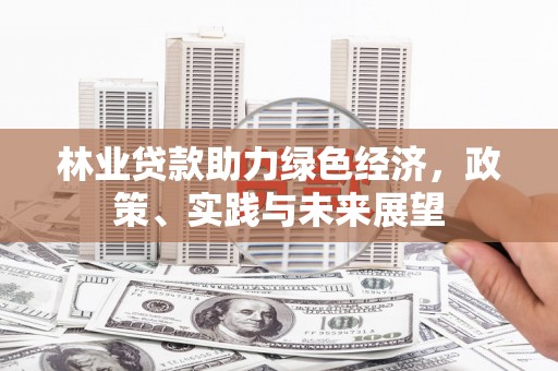 雾台林业贷款助力绿色经济，政策、实践与未来展望
