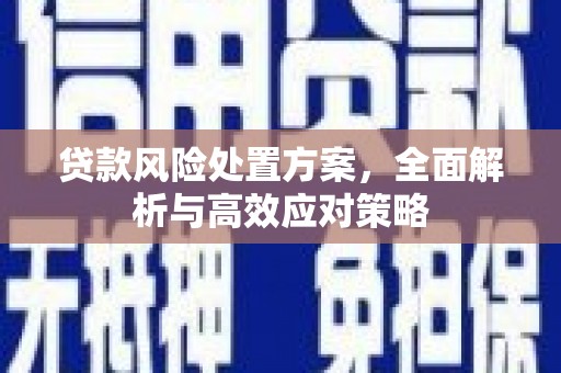 雾台贷款风险处置方案，全面解析与高效应对策略