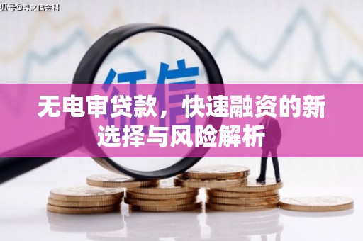 雾台无电审贷款，快速融资的新选择与风险解析