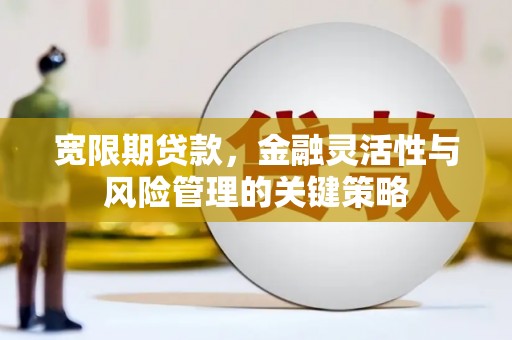 雾台宽限期贷款，金融灵活性与风险管理的关键策略