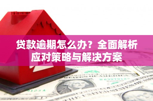 雾台贷款逾期怎么办？全面解析应对策略与解决方案