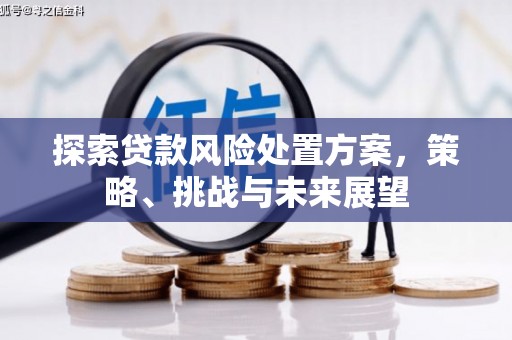 雾台探索贷款风险处置方案，策略、挑战与未来展望