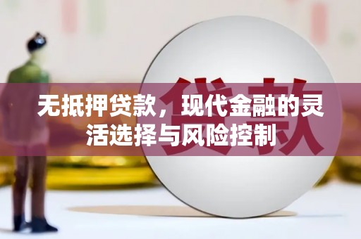 雾台无抵押贷款，现代金融的灵活选择与风险控制