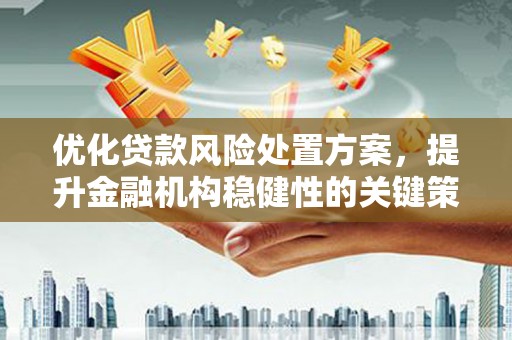 雾台优化贷款风险处置方案，提升金融机构稳健性的关键策略