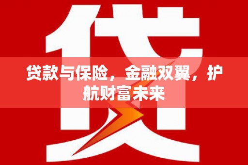 雾台贷款与保险，金融双翼，护航财富未来