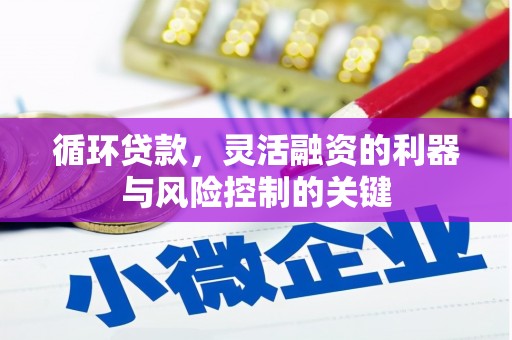 雾台循环贷款，灵活融资的利器与风险控制的关键