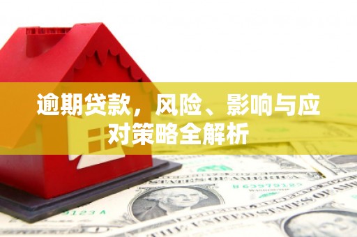 雾台逾期贷款，风险、影响与应对策略全解析