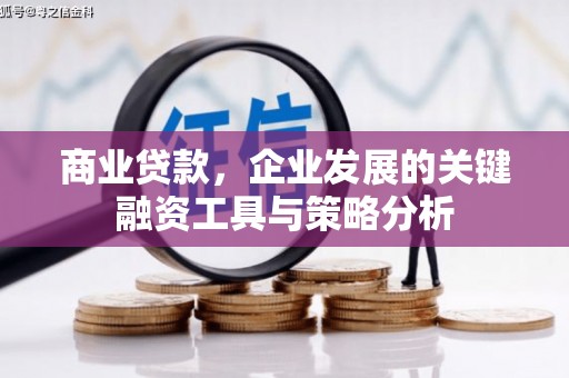 雾台商业贷款，企业发展的关键融资工具与策略分析