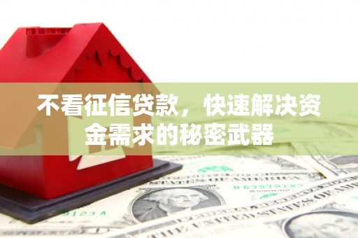 雾台不看征信贷款，快速解决资金需求的秘密武器