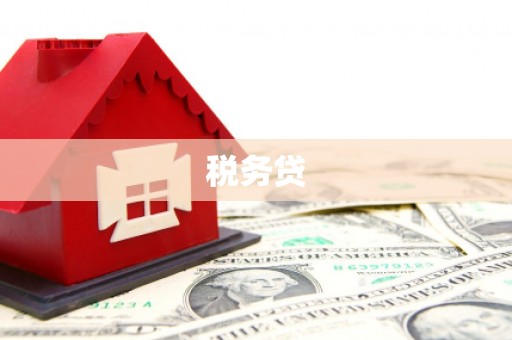 雾台税务贷