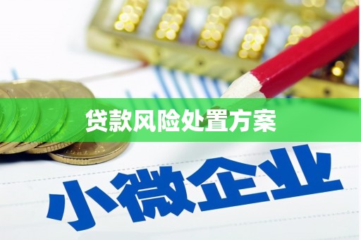 雾台贷款风险处置方案