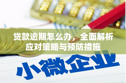 雾台贷款逾期怎么办，全面解析应对策略与预防措施