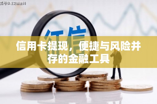 雾台信用卡提现，便捷与风险并存的金融工具
