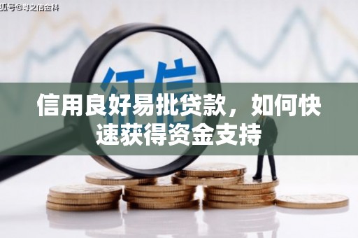 雾台信用良好易批贷款，如何快速获得资金支持