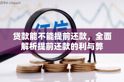雾台贷款能不能提前还款，全面解析提前还款的利与弊