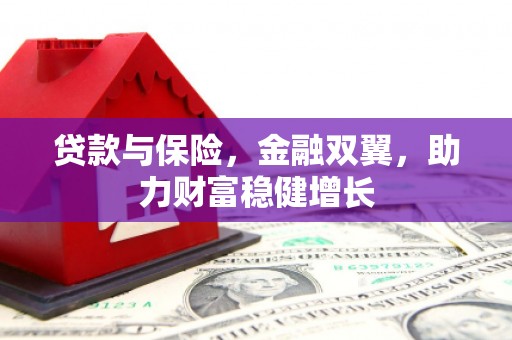 雾台贷款与保险，金融双翼，助力财富稳健增长