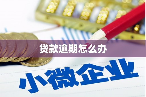 雾台贷款逾期怎么办