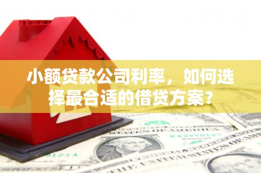 雾台小额贷款公司利率，如何选择最合适的借贷方案？