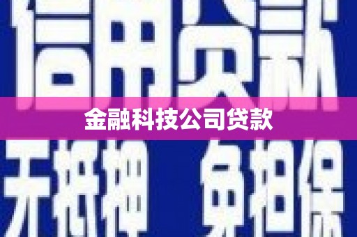 雾台金融科技公司贷款