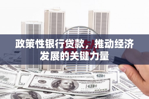 雾台政策性银行贷款，推动经济发展的关键力量