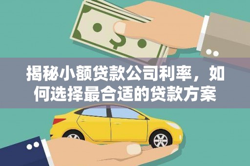雾台揭秘小额贷款公司利率，如何选择最合适的贷款方案