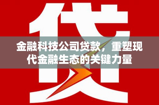 雾台金融科技公司贷款，重塑现代金融生态的关键力量
