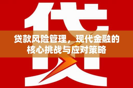 雾台贷款风险管理，现代金融的核心挑战与应对策略