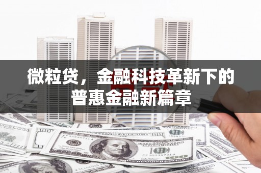 雾台微粒贷，金融科技革新下的普惠金融新篇章